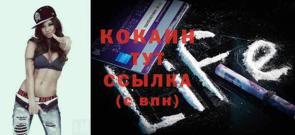 дмт Ельня