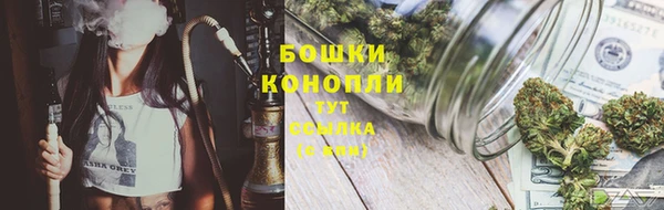 мяу мяу мука Елизово