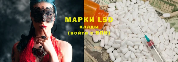 дмт Ельня