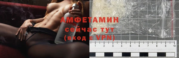 дмт Ельня