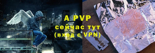 дмт Ельня