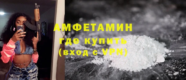 дмт Ельня