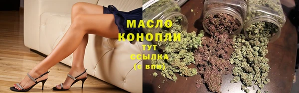 дмт Ельня